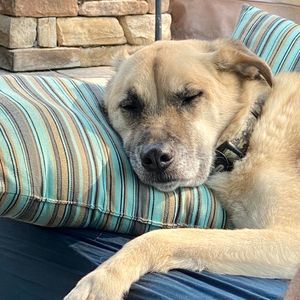 Meet your Posher, Robyn